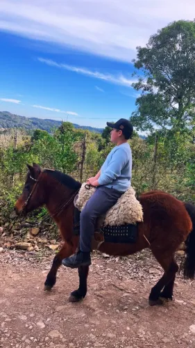 Petiça