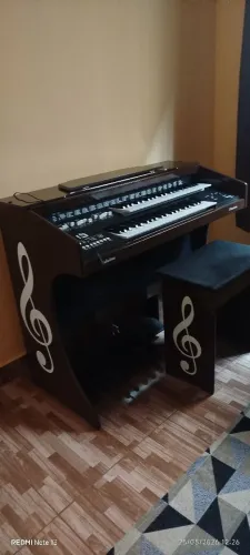 Vendo órgão eletrônico.