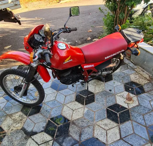 XLX 250 R