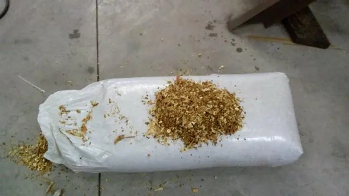 Ensacadora de silagem Di Campo A Original Do Sul