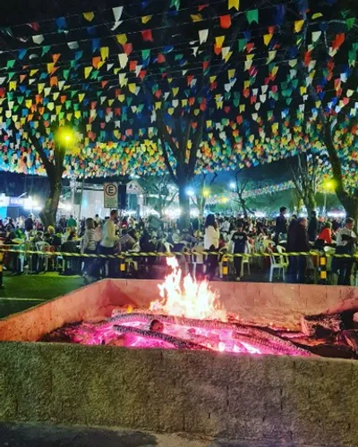 Lenha para fogueira, churrasco, festa junina e São joão