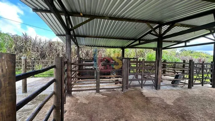 Vendo Fazenda Mista 47 Ha entre Uruçuca/ Ilheus