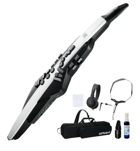 Sax Roland AEROPHONE AE 20