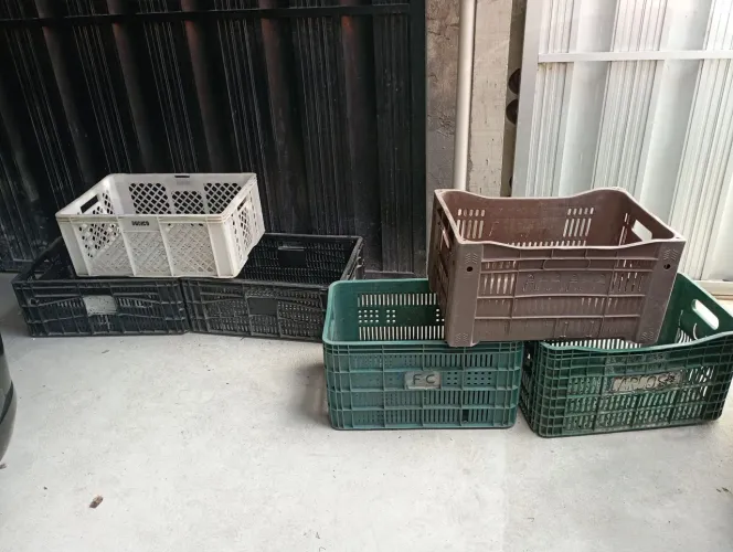Caixas Plásticas para Comércio e Feira 