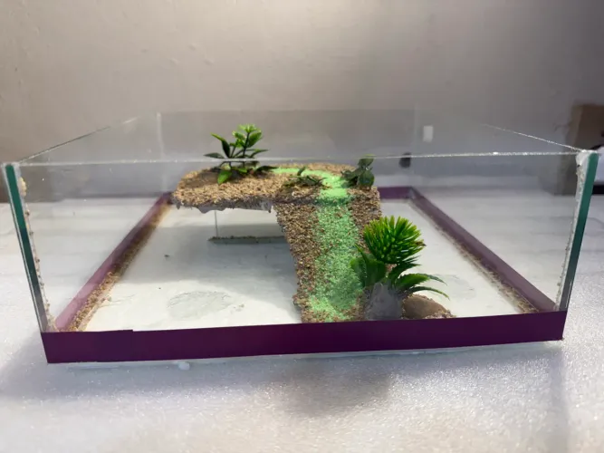 Aquaterrario modelo tabuleiro com plataforma central decorada 