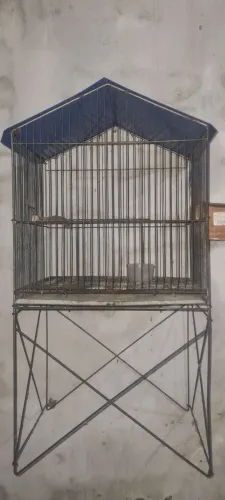 Viveiro e Gaiola de periquito 