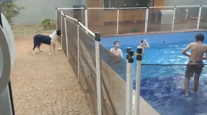 Cerca removível de piscina modelo Sibrape 22 metros