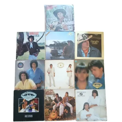 Disco de Vinil Sertanejo Preço a partir