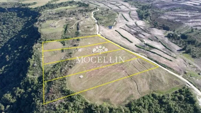 Terrenos de alto padrão à venda em São Luiz do Purunã /Mocellin Imóveis