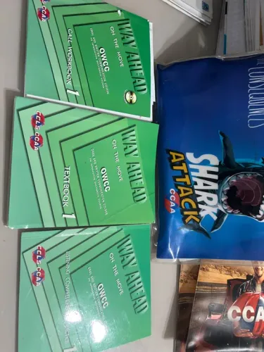 Livros Way Ahead - Inglês - CCAA
