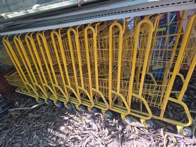 Carrinhos de supermercado 