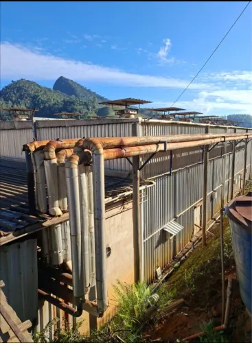 Estufa para Secagem de Madeira