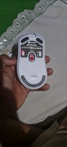 mouse attack shark