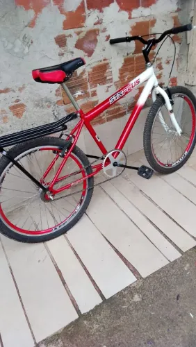Bicicleta aro 24