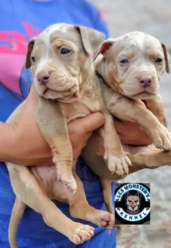 Pit monster 