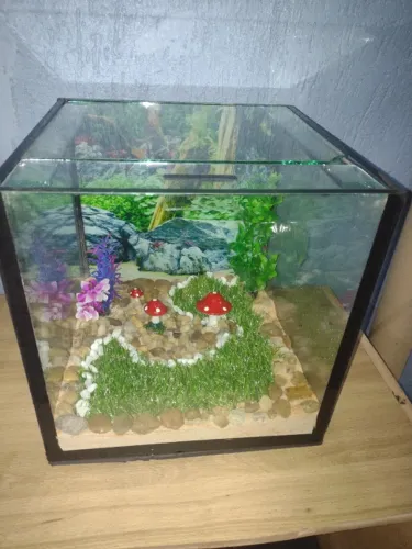 Aquário cubo 15 litros