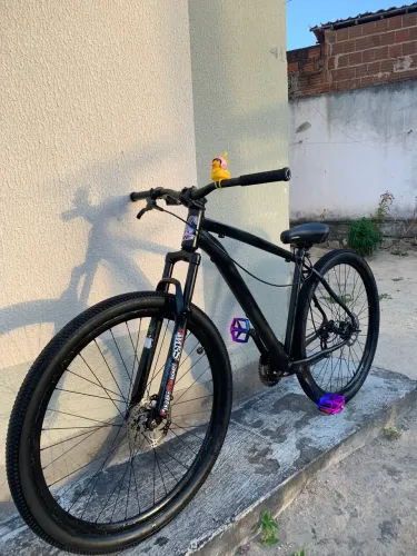 BIKE ARO 29