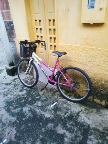 Bikerosa.aro.26