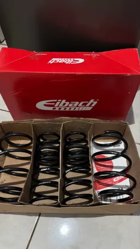 Molas eibach civic g10