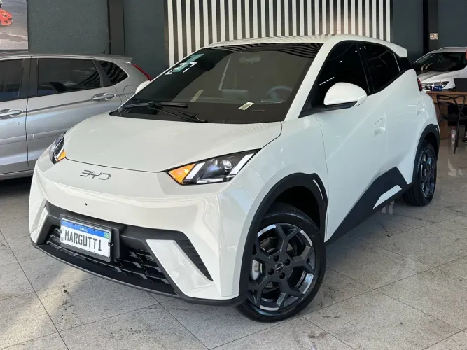 BYD Dolphin Mini (Elétrico) 2027
