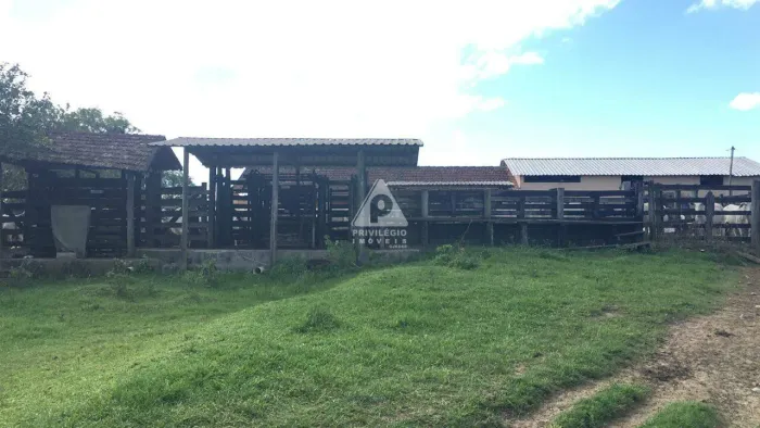 FAZENDA PEROBAS - LINDA COM ÓTIMA LOCALIZAÇÃO - 52 ALQUEIRES FLUMINENSES, 100 MIL PÉS DE E