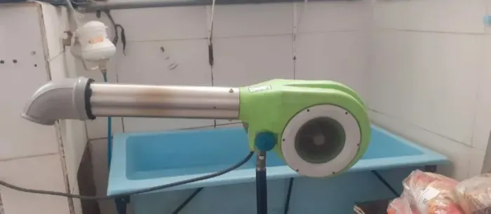 Secador profissional p pet shop