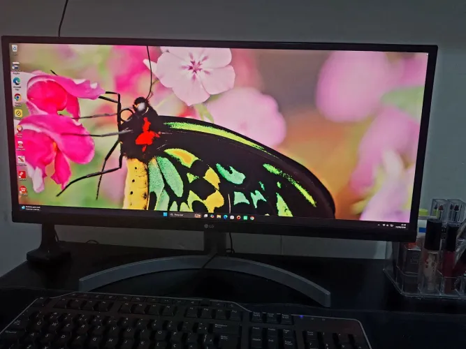 Monitor Gamer LG