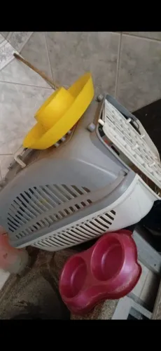 Caixa pra levar gato ou cachorro vassinar.