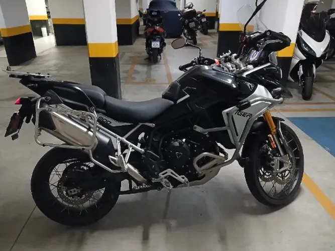 Tiger 900 Rally Pro