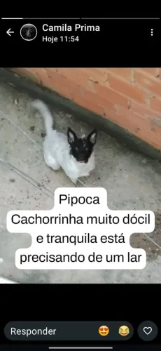 Doação