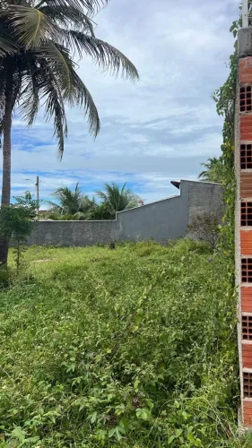 Vende-se Terreno na Taíba!