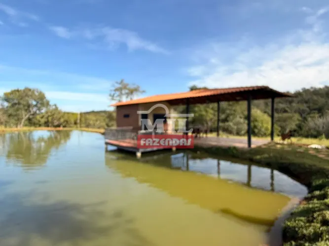 Chácara 5,12 Alqueires (24,79 hectares) Hidrolândia - GO