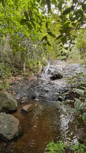 Vendo Chácara com Cachoeira Itacaré - Bahia