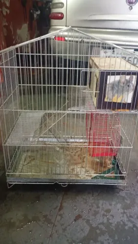 Gaiola pra chinchila 