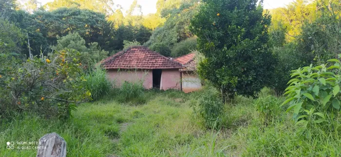 Vendo terreno em Campos de Cunha