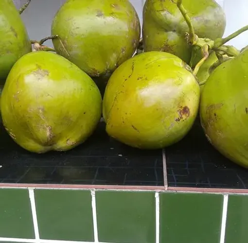 Coco verde natural