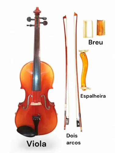 Viola de Arco Skylark Brand - Completa e Pronta para Tocar