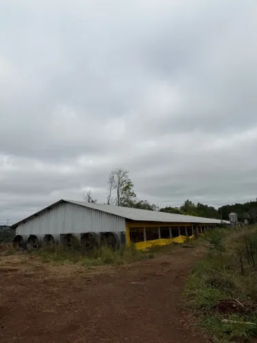 AVIARIOS USADOS 