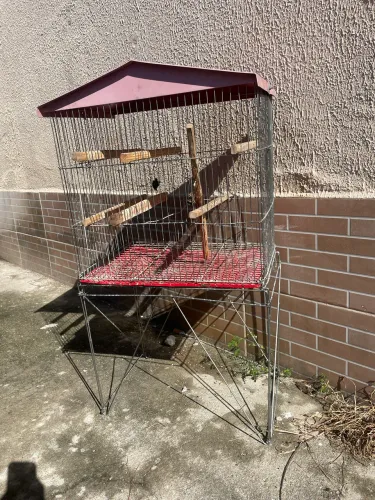 Vendo gaiola para pássaros