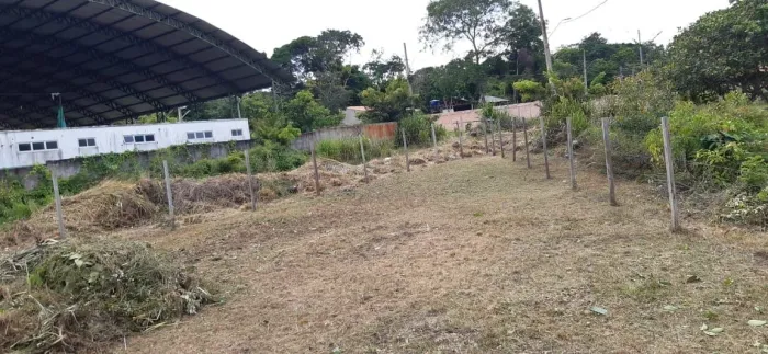 ? Vende-se terreno em Alter do Chão - Santarém/PA ?