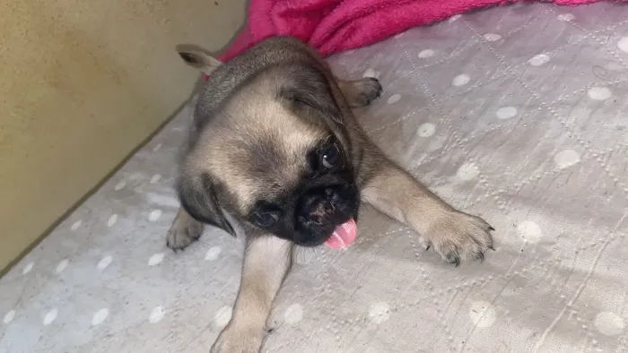Vendo e troco