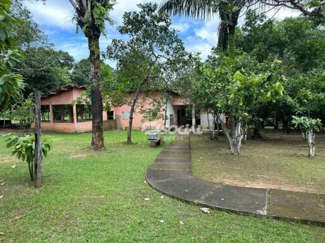 Excelente Chácara com igarapé - Planalto