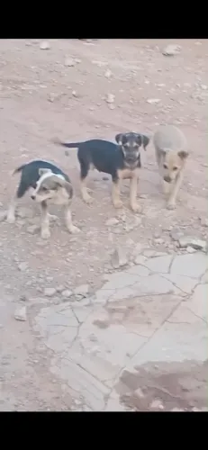 Doação urgente ? ?