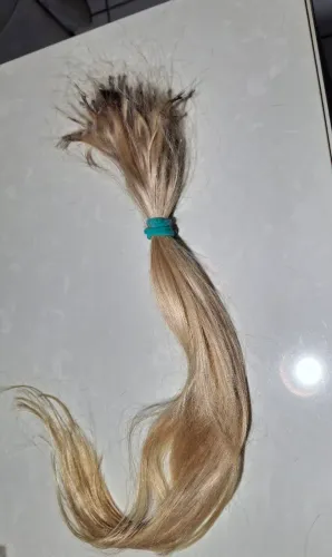 Cabelo humano