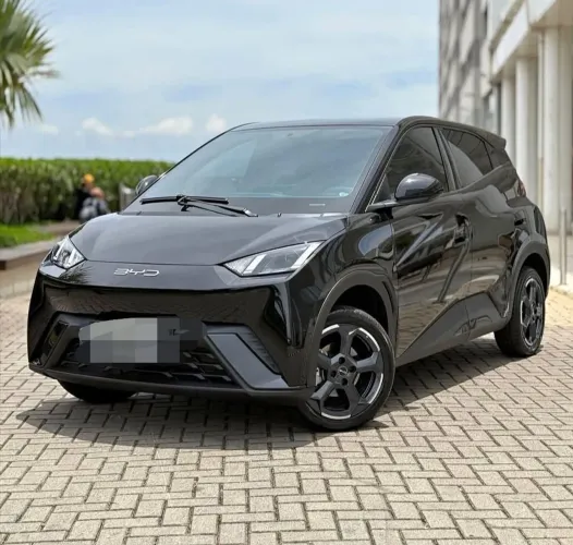 BYD Dolphin Mini (Elétrico) 2026