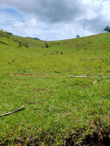 Vendo chacara 50 mil reais 