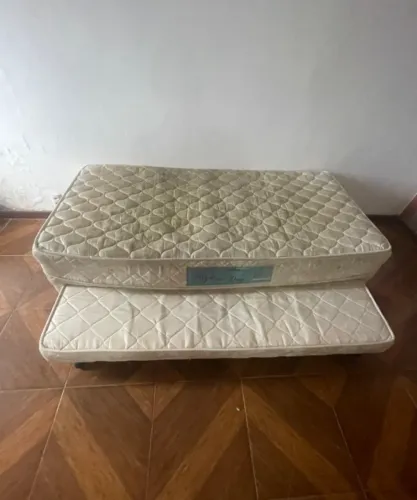 Bicama solteiro