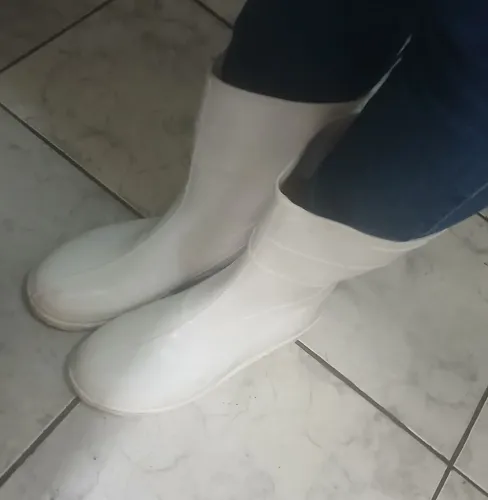 Bota de borracha 