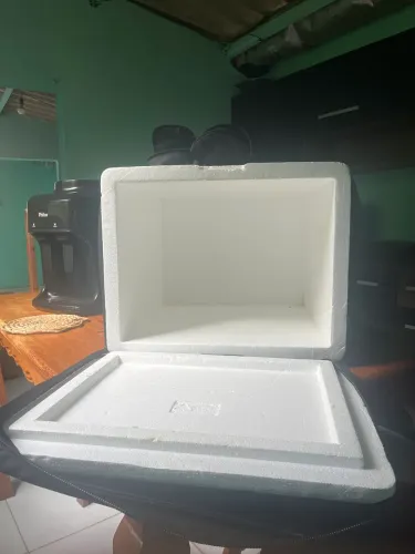 Caixa Térmica de Isopor com Bolsa Térmica - Excelente Estado