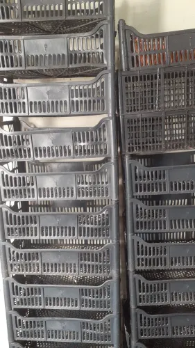 Caixas plástica preta